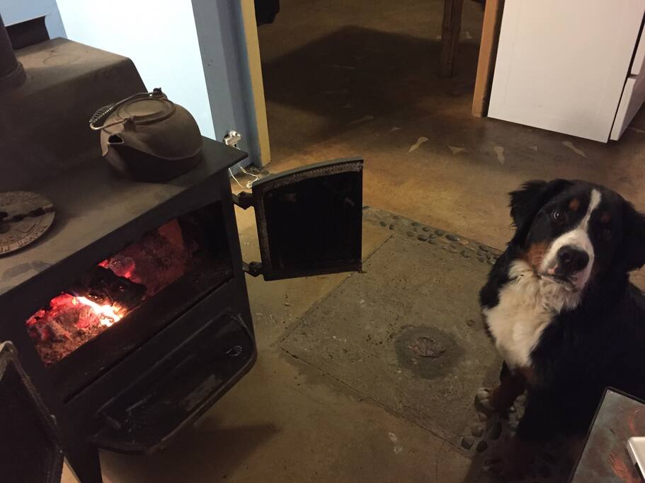 We're pet friendly!