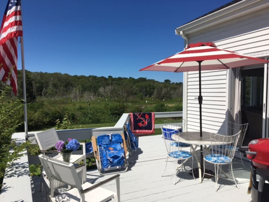 Private deck with grill and panaramic views of the wetland and bird sactuary!
