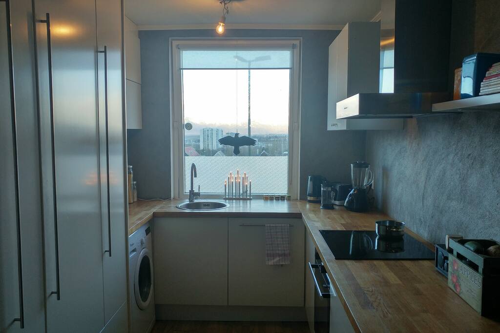 Fashionably looking kitchen with all basic appliances and a great view