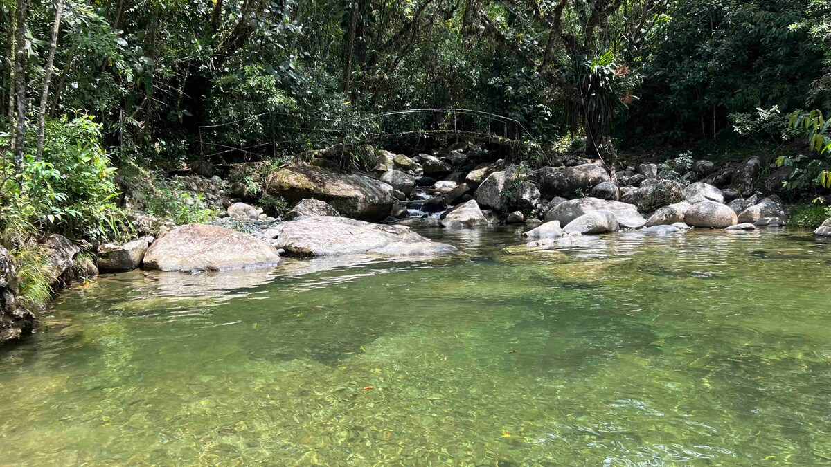 Clear water flows gently over smooth stones, framed by lush greenery. A small bridge is visible in the background, adding to the natural setting. Sunlight filters through the surrounding trees, creating a serene ambiance near the tranquil water.