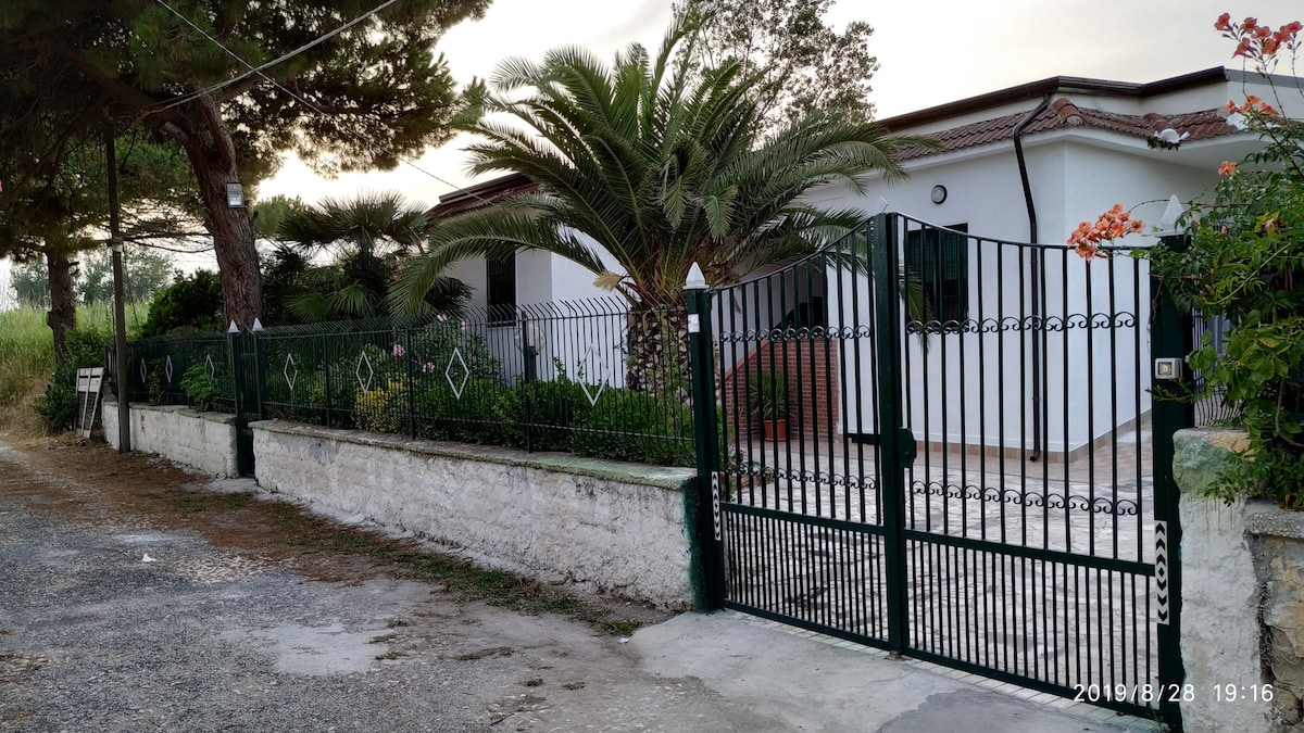 A well-maintained entrance features a green wrought iron gate leading to a spacious villa. Surrounding greenery includes palm trees and flowering plants, creating a serene environment. The driveway is lined with gravel, and the villa's white exterior is complemented by large windows, enhancing natural light.