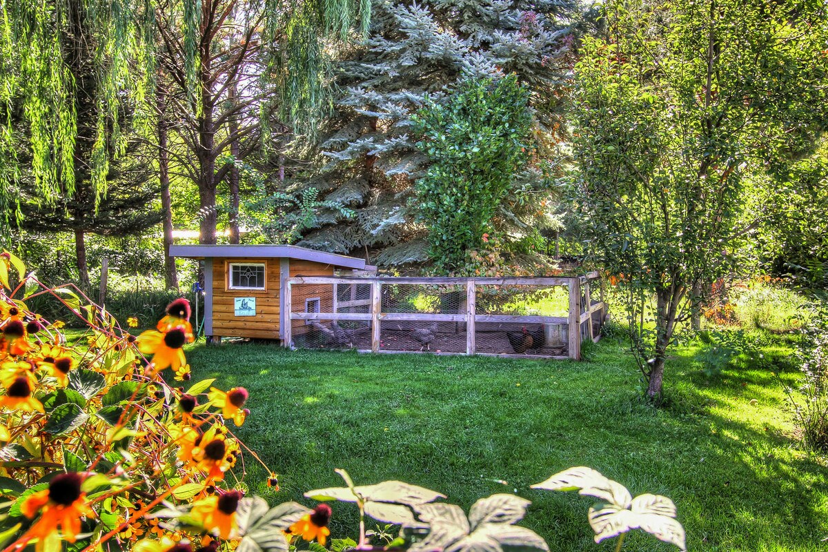 A spacious yard features a wooden chicken coop enclosed by a wire fence, surrounded by lush greenery and vibrant yellow flower petals. Tall trees provide a serene backdrop, creating a peaceful setting that blends nature and comfort.