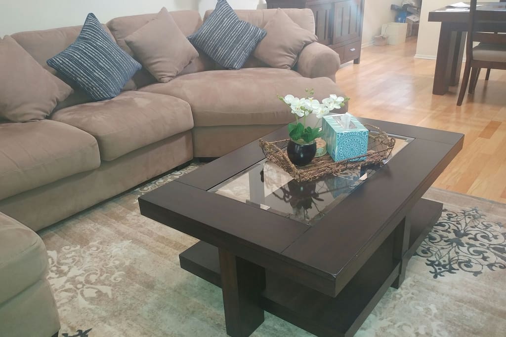 Lounge Area with new dark wood coffee table