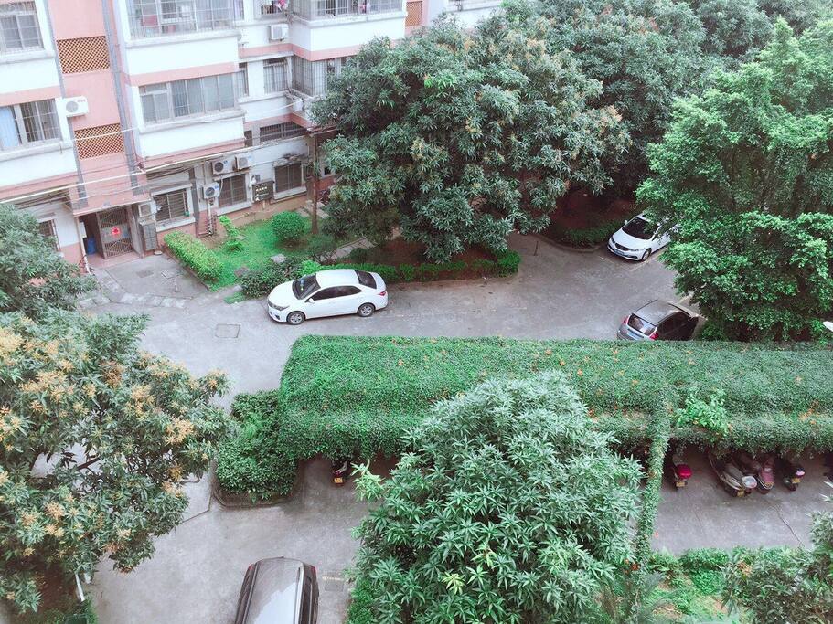 小区绿化