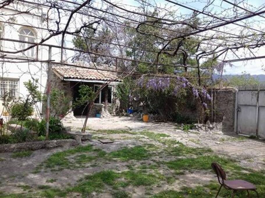 our garden