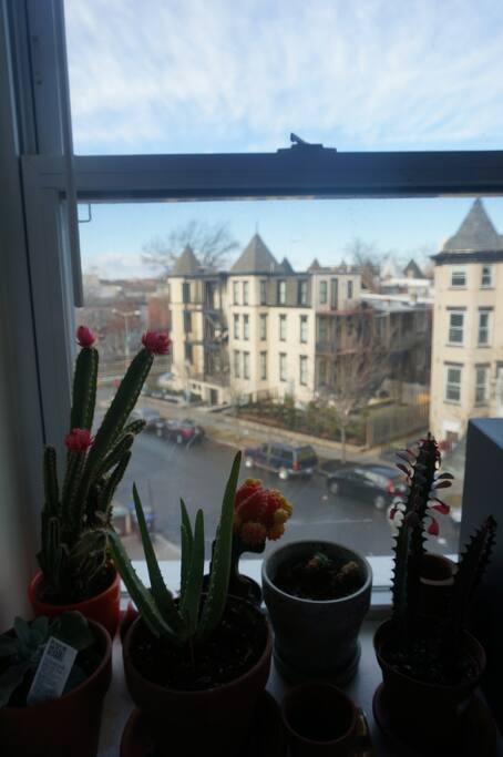 The view.