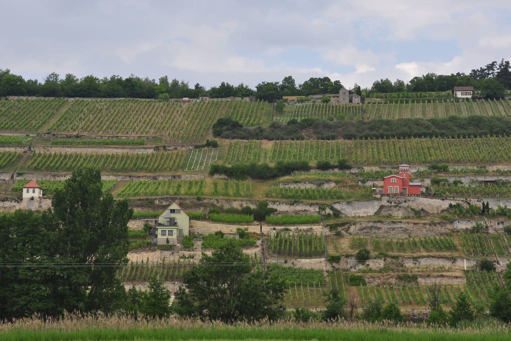 Blick auf die Schweigenberge