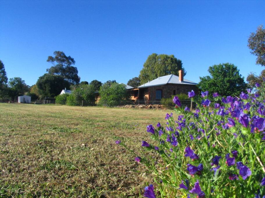 Rural Tranquility
