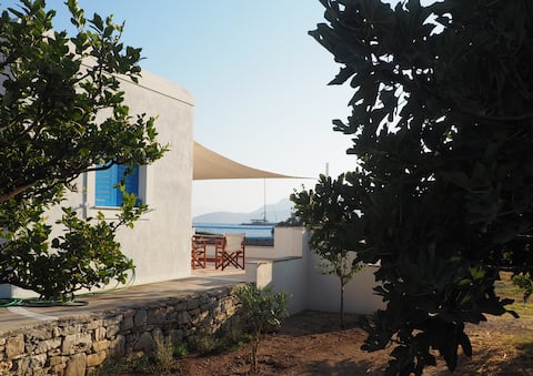 Beachfront Apartment in Schoinoussa