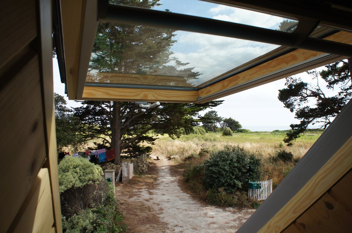 A skylight offers a view of the surrounding nature, with a dirt pathway leading towards a lush green landscape. Tall trees and shrubs frame the scene, while hints of distant water can be seen in the background.