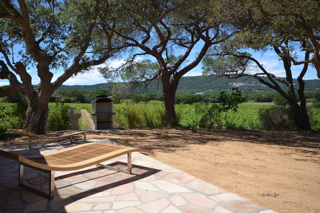 Terrasse avec vue vignes et village