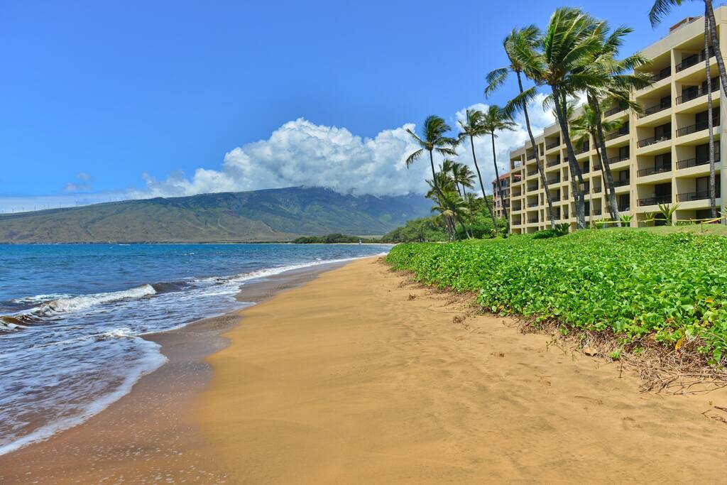 The beach in front of Sugar Beach. Great for walking, swimming, snorkeling and spending a lazy day.