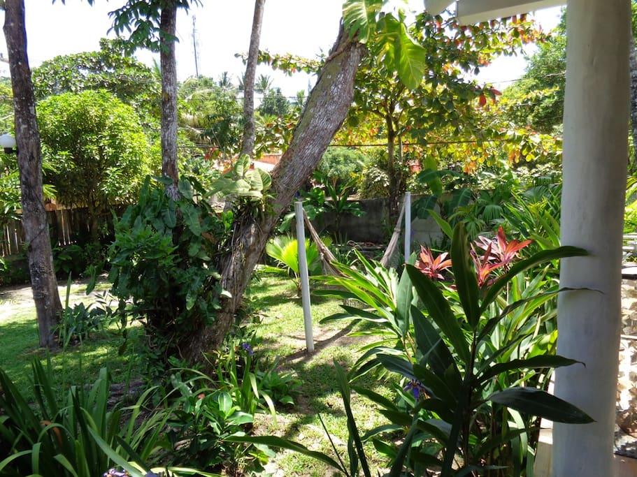 Jardim