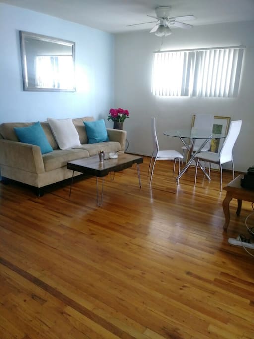 Living Room (Pull out couch)