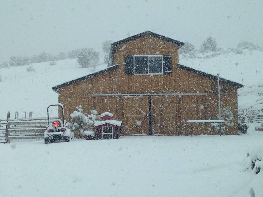 Winter at the barn