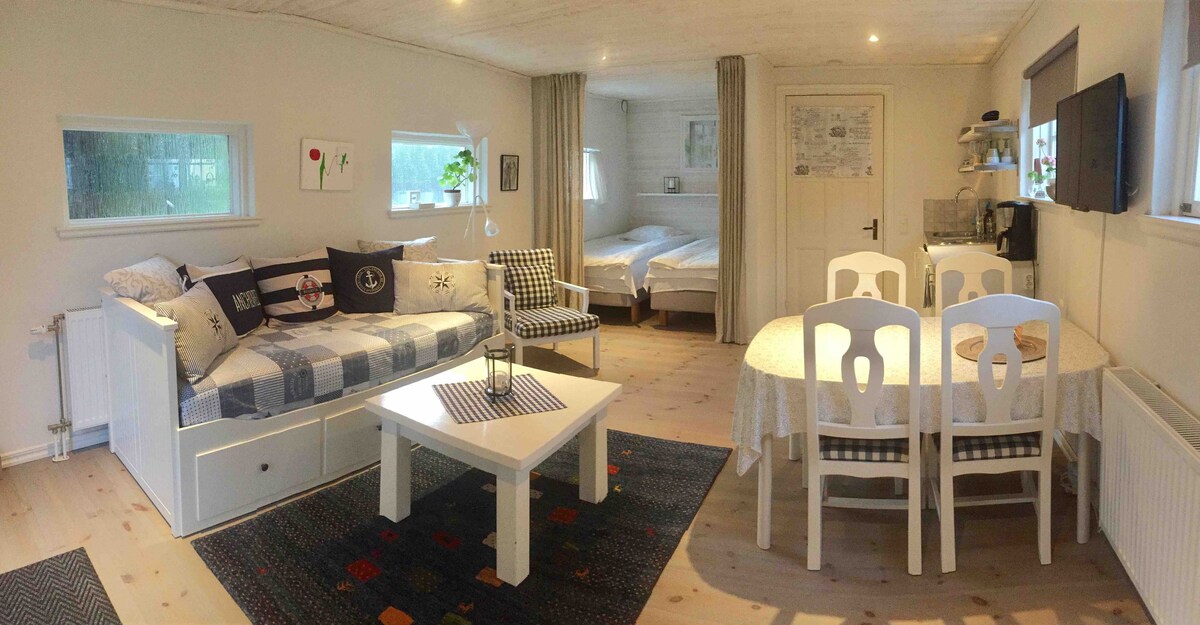 A bright interior is shown, featuring a cozy daybed adorned with decorative pillows. A round dining table with four chairs is positioned nearby, and two beds can be seen in a separate sleeping area. Light streaming in through multiple windows enhances the inviting atmosphere.