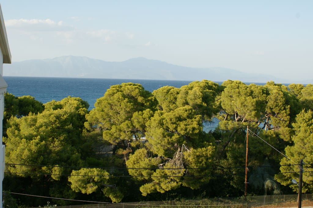 Μπροστά θέα (Front view)