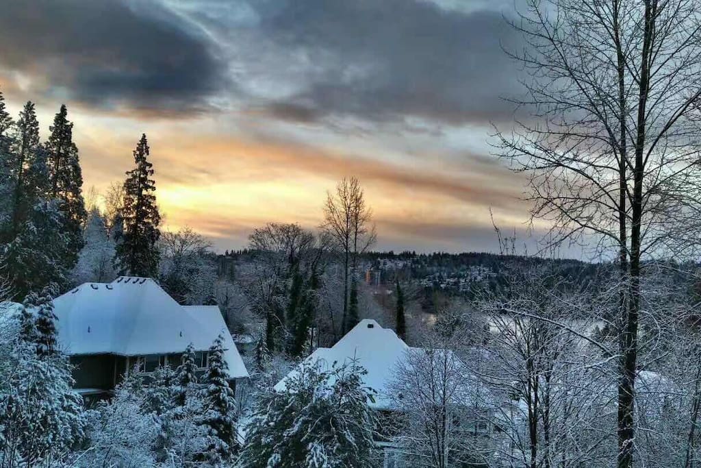 snow view from terrace