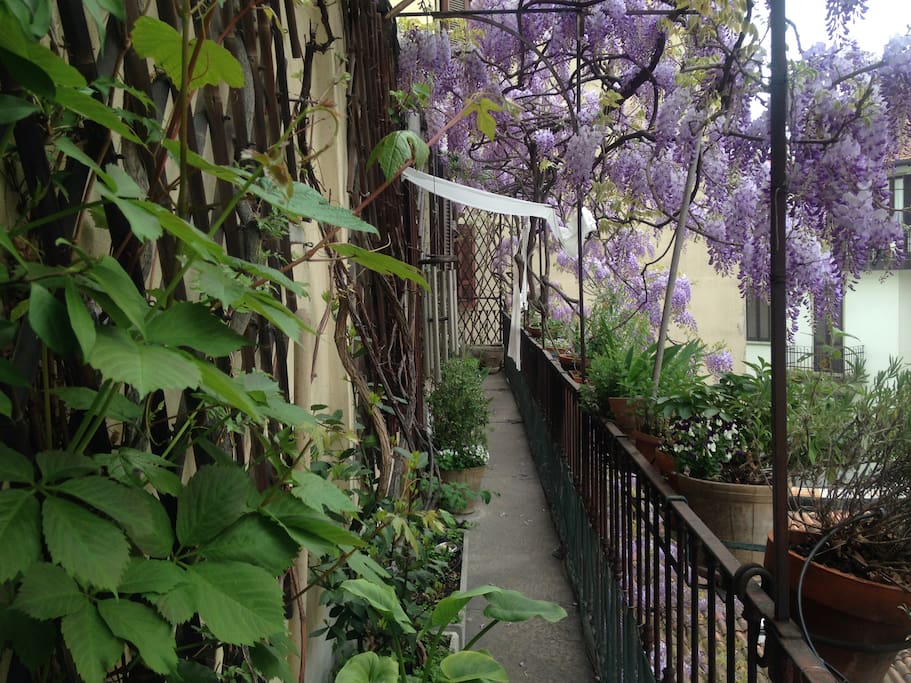 balcony