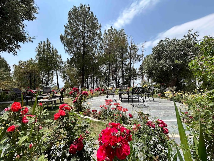 Serene Stay in pines
