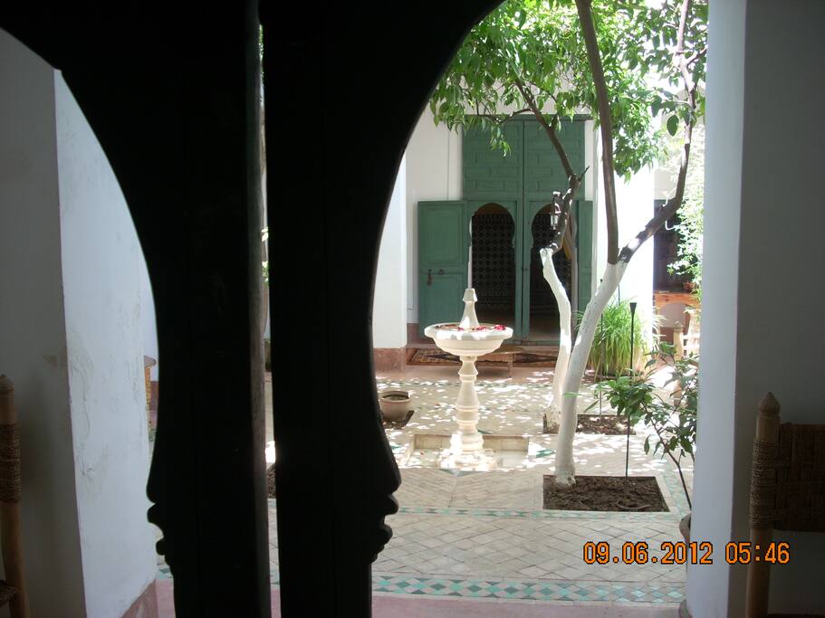vue sur le patio