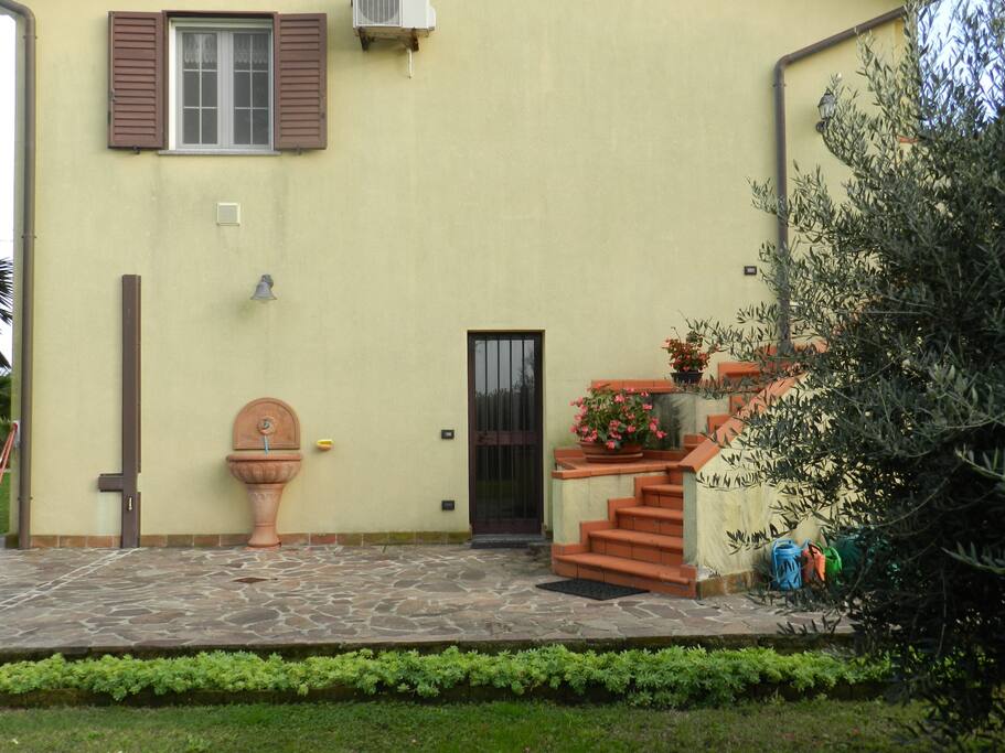 Ingresso