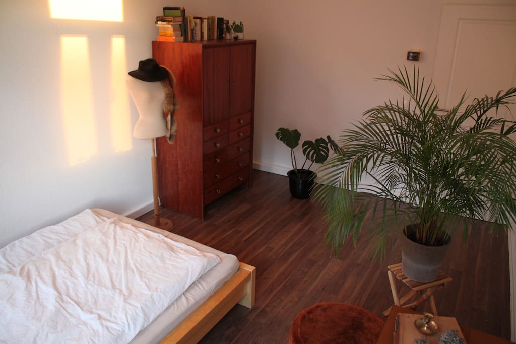 Die Palme steht jetzt im Schlafzimmer, dafuer sind neue Pflanzen hinzugekommen sowie ein grosser, gemuetlicher Teppich und ein Schraenkchen mit Plattenspieler und kleiner Stereo-Anlage.