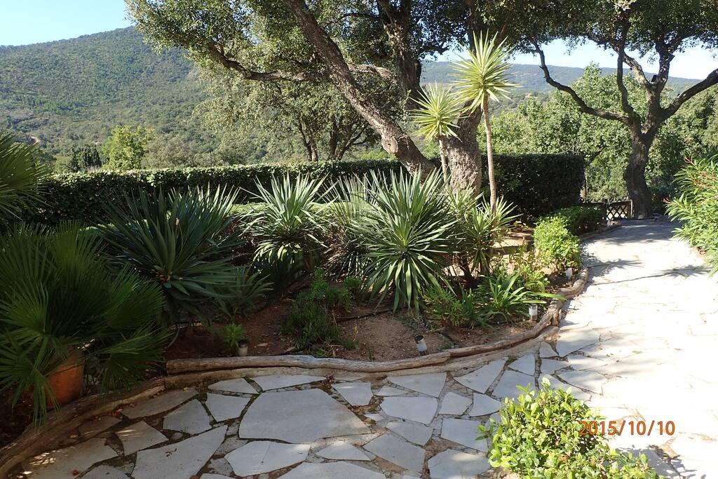 l’arrivée par le jardin