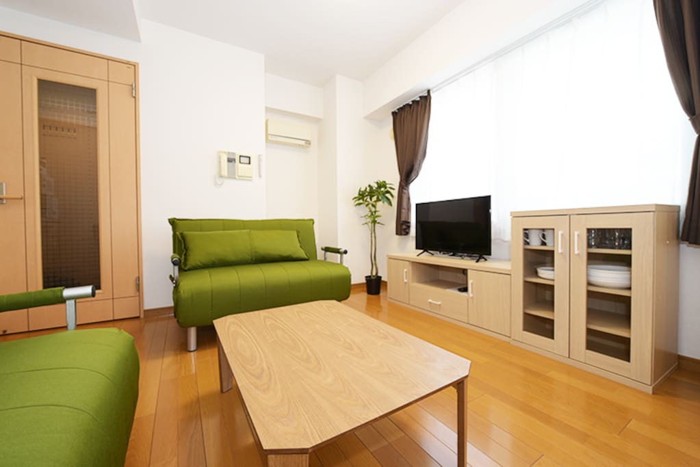 Living room with 2 sofa beds