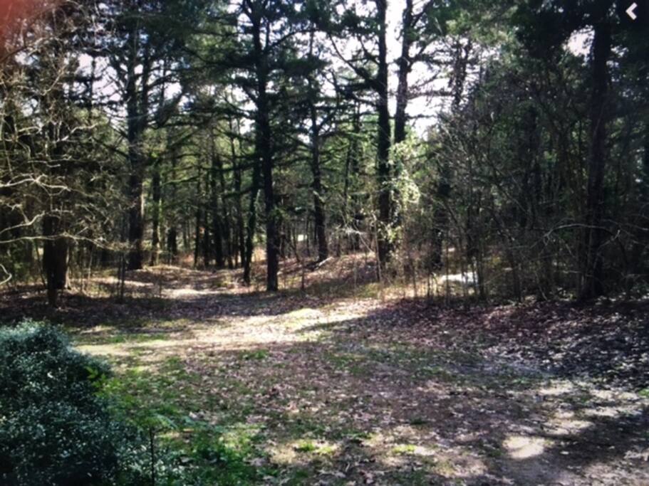 20 beautiful acres in city limits