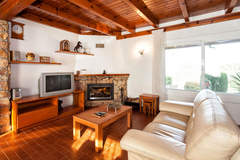 Salón Comedor. Vista Chimenea