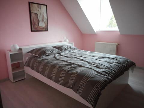 Spacious apartment close to Strasbourg