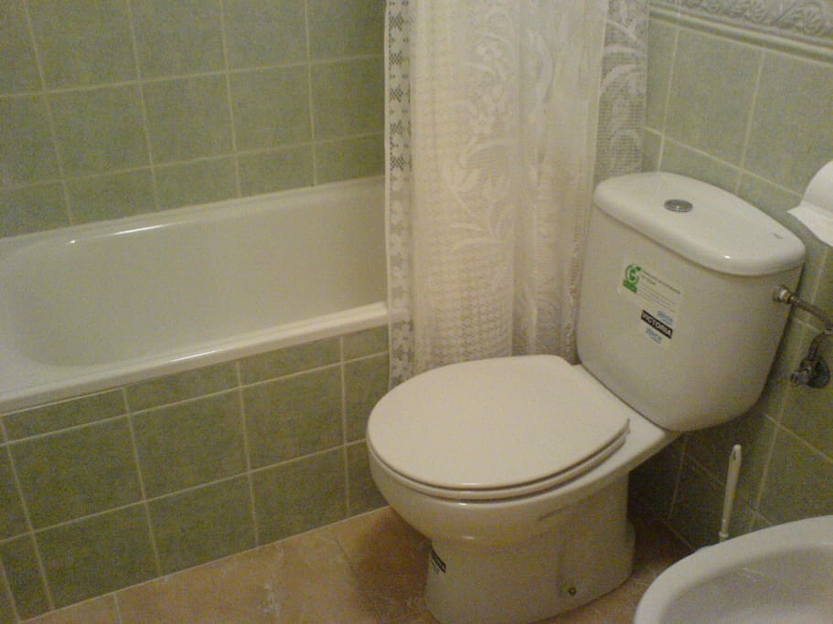 The modern family bathroom with bath, shower, toilet, sink and bidet.