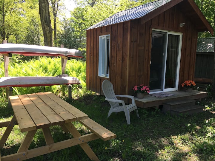 Top 6 Tiny Houses For Rent Near Beaverton, Canada Updated 2024 Trip101