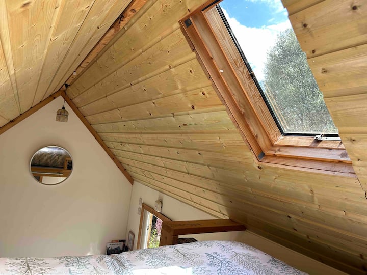 Bedroom area