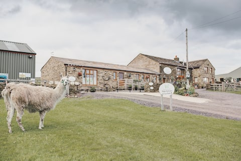 Top Airbnb: The Unique Farmhouse with Llamas and Alpacas in Blackburn With Darwen