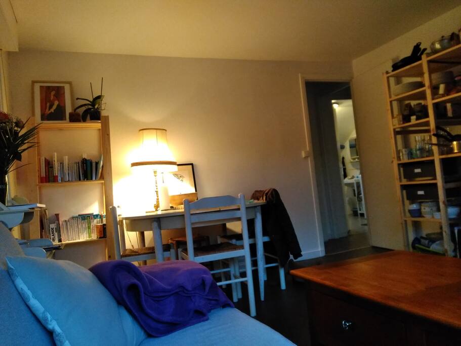 Pièce de vie