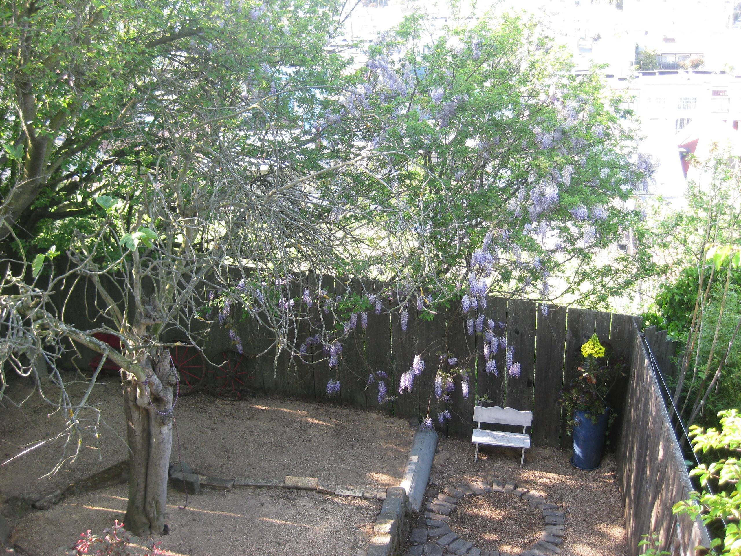 Mission Bernal 2 BR Charmer - Image 17