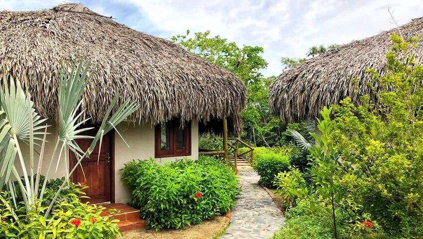Инвесторлар. Ulaman eco luxury resort. Eco resort отзывы. Eco-resorts. Итакара.
