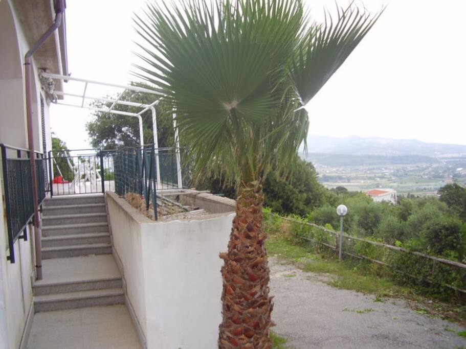 Ingresso