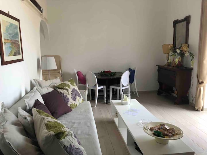 The Panoramic Flat With Terrace Sorrento Coast - Positano