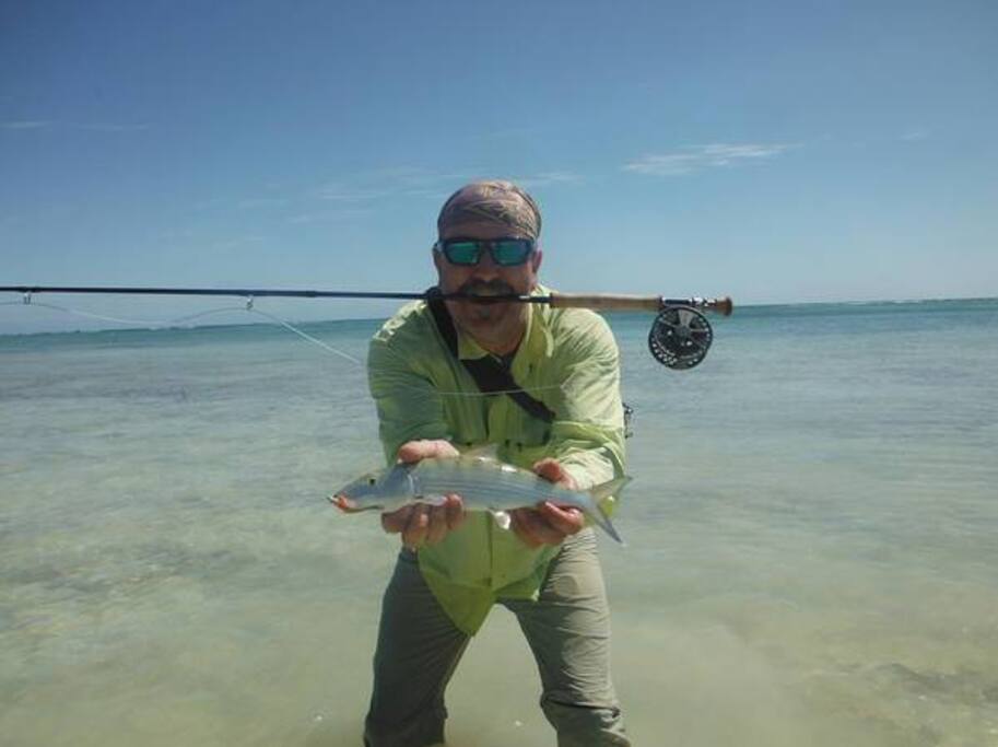 Bonefish, from pier