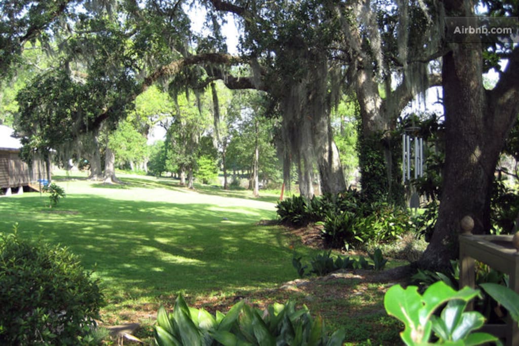 Backyard