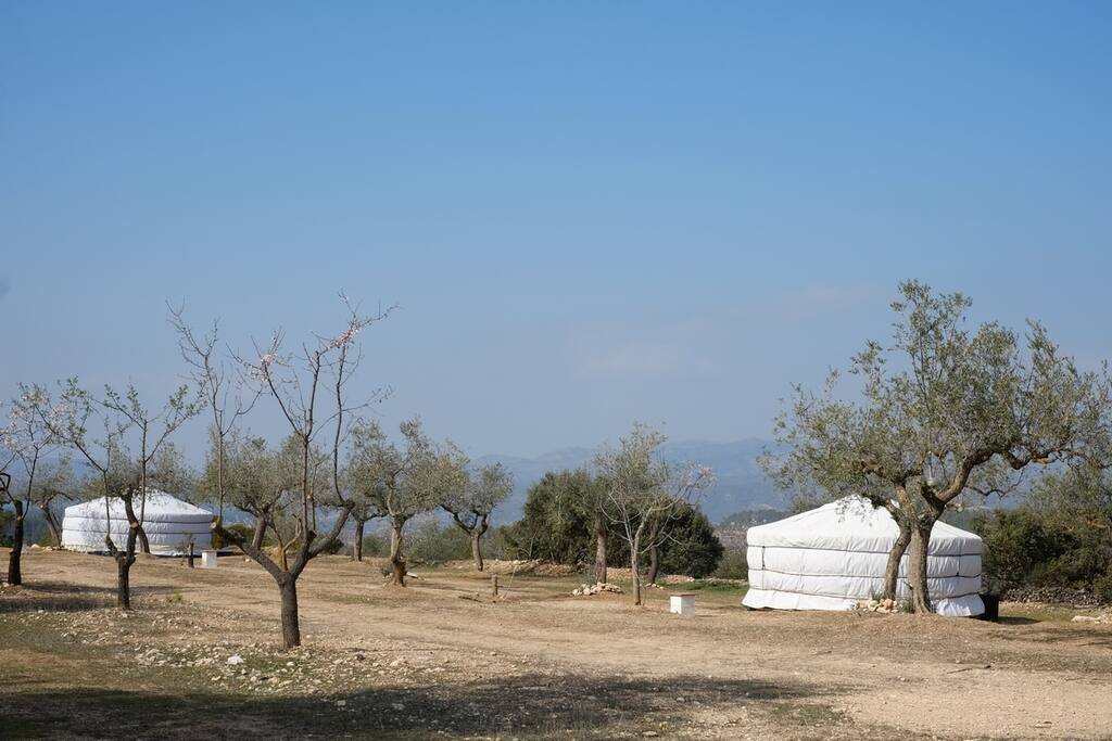 L'emplacement de nos yourtes