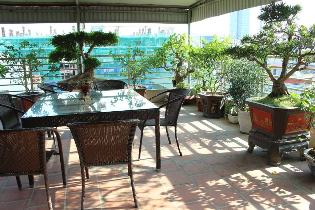 Terrace 3