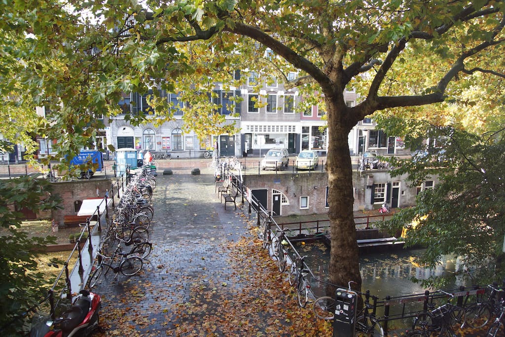 View on canal from living room
