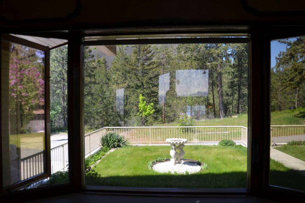 Front Yard