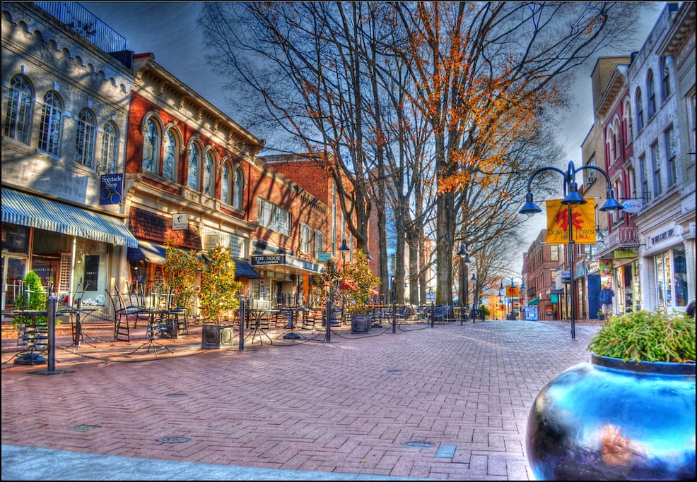 Minutes to the downtown pedestrian mall