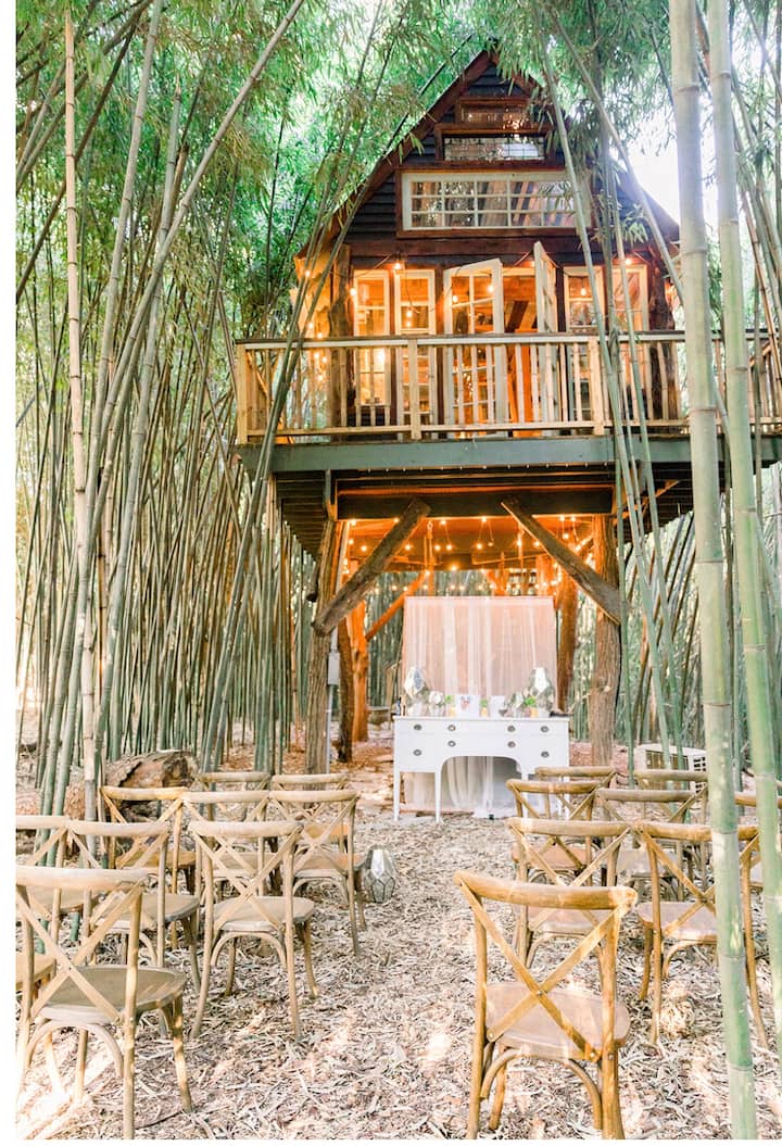 Atlanta Alpaca Treehouse in the Bamboo Forest Treehouses for Rent in
