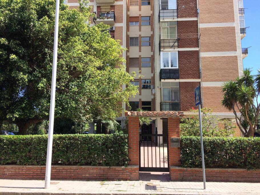 The front of the building - la facciata del palazzo
